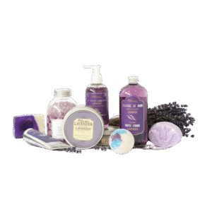 Suspendisse vehicula at dui