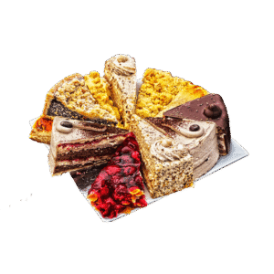 Suspendisse volutpat massa