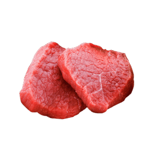 Fusce congue cursus metus