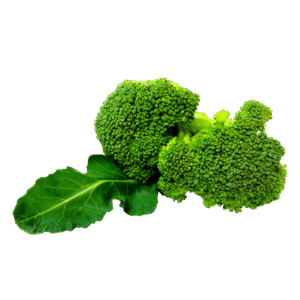 Organic Broccoli