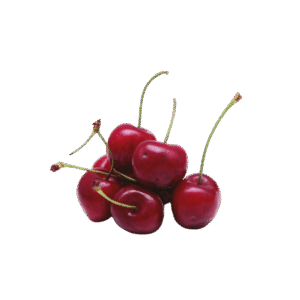 Nulla feugiat felis tempor sem