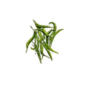 In fringilla felis non nulla porta rutrum