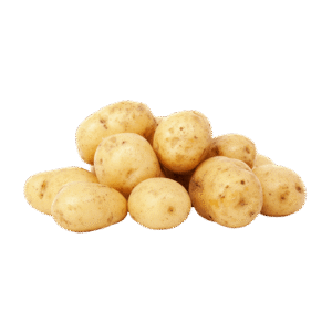 Quisque mi est, blandit sed maximus