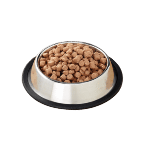 Sed pretium quam lacinia placerat