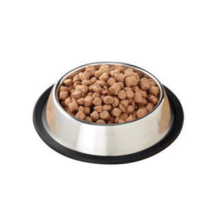 Sed pretium quam lacinia placerat