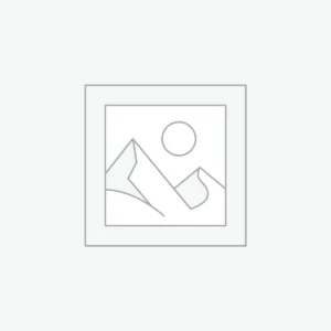 Morbi pulvinar augue lorem